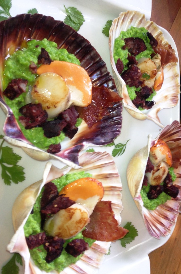 Scallops with Black Pudding
